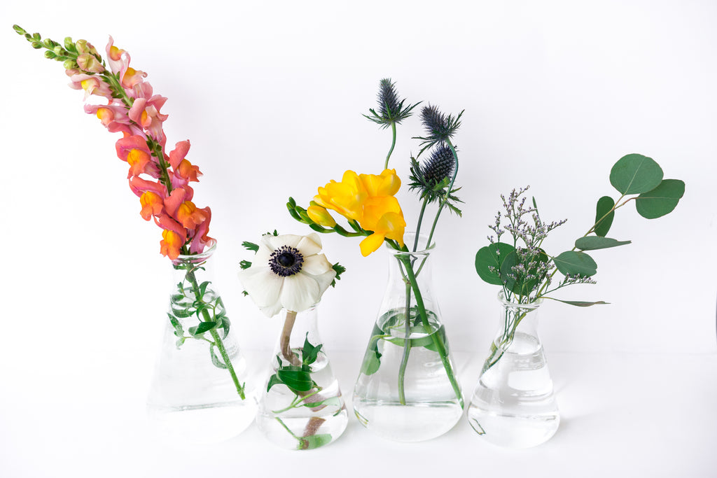 Some Interesting Things to Expect When Transitioning to Clean Beauty