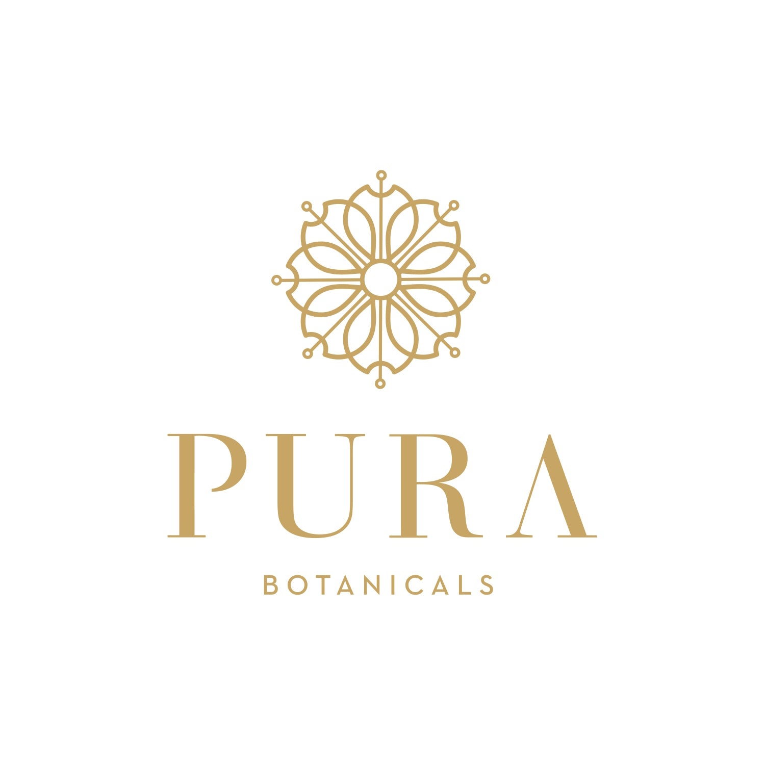 PuraLogo_755ef450-dd4d-4807-949d-fbd90895c5f7.jpg
